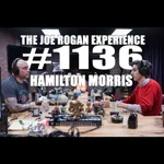 #1136 - Hamilton Morris