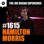 #1615 - Hamilton Morris