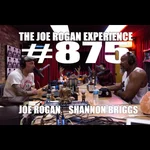 #875 - Shannon Briggs